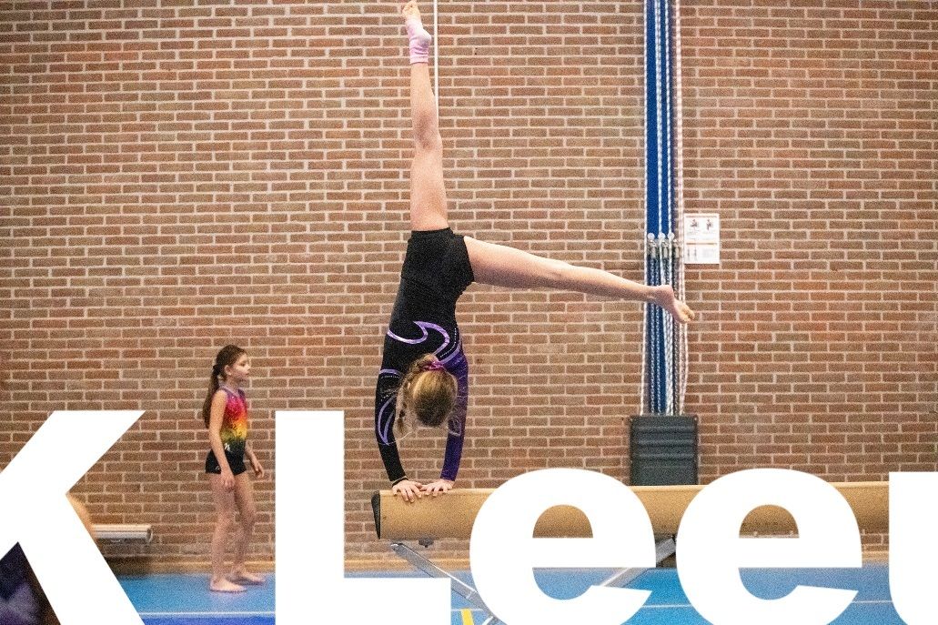 Header_2-a2ed9463 V en K Leeuwarden